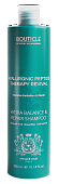 Bouticle, Увлажняющий шампунь для поврежденных волос Atelier Hair «Hyaluronic Peptide Therapy Revival Hydra Balance & Repair Shampoo», 300 мл