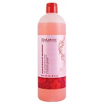 Salerm, Pomegranate Shampoo ���������� �������, 1000 ��.