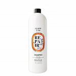 Bouticle, Шампунь, придающий сияние "Argan Illuminating Shampoo Repair Glow Lab", 1000 мл