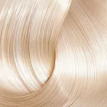 Bouticle "EXPERT COLOR" 12/00 ����������� ������ �������, 100 �� , ������������ ���������