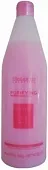 Salerm, Shampoo Purificante ������� ���������, 1000 ��.