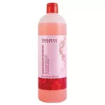 Salerm, Pomegranate Shampoo ���������� �������, 1000 ��.
