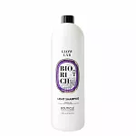 Bouticle, ������� ��� ����������� ������ ��� ����� ���� ����� "Biorich Light Shampoo Glow Lab", 1000 ��